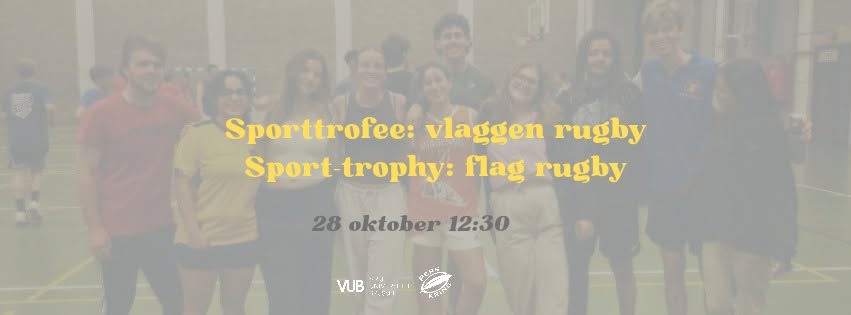 Sporttrofee: vlaggen rugby / sports trophy: flat rugby
